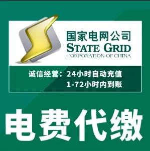 光速-国网电费充值100元